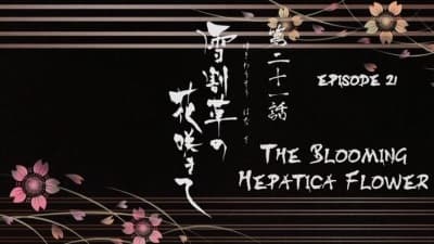 Episode 9: The Blooming Hepatica