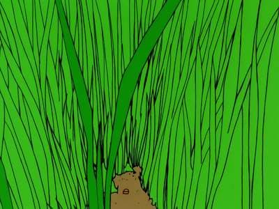 Episode 4: Protect the Field of Flowers!