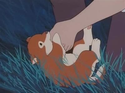 Episode 23: Your Name is Little