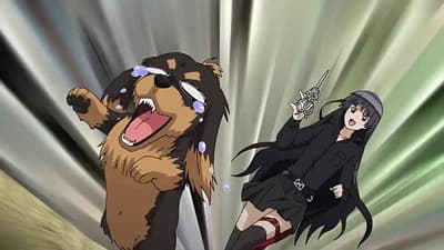 Episode 12: Dogs and Scissors Require Good Handling