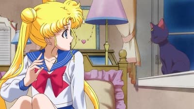Episode 1: Usagi: Sailor Moon