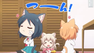 Episode 8: The Cats` Day 2