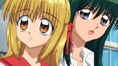 Episode 25: Love Fortune