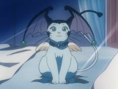 Episode 2: A Wasted Fairy Tale