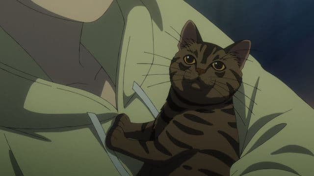 Episode 7: Meow Meow, Meow Meow, Meow Meow Meow Meow Meow?