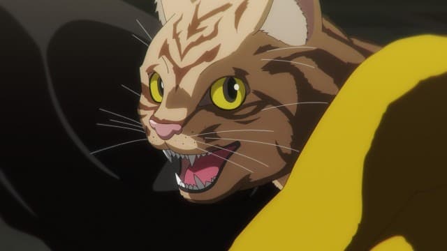 Episode 1: Everything Becomes Cat