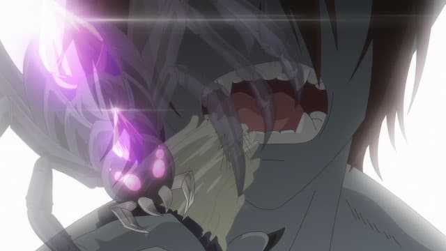 Episode 2: Re:D Bear