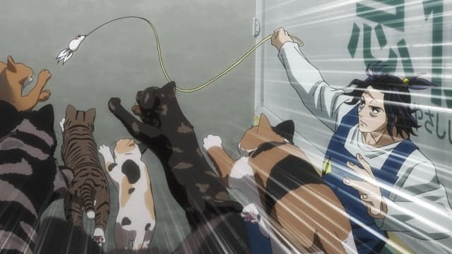 Episode 2: Tonight the Cats Steal the Stars