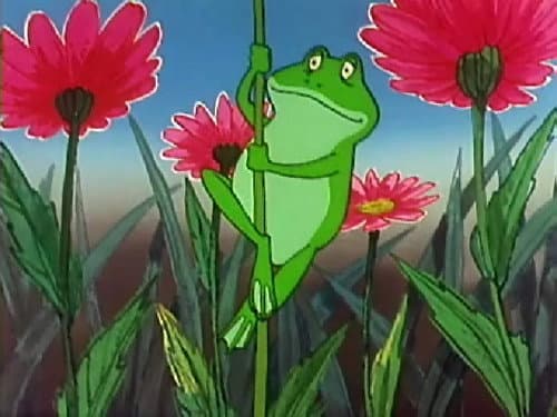 Episode 18: The rain frog's blunder