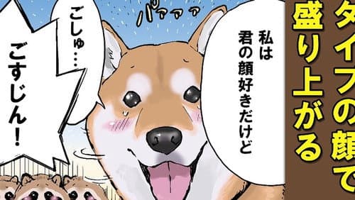 Episode 38: Fox Shiba and Tanuki Shiba 1 / Fox Shiba and Tanuki Shiba 2 / Snow White and Kaguya