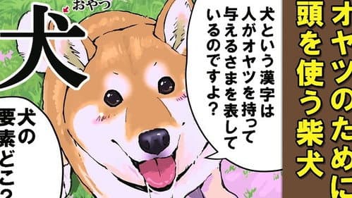 Episode 58: Special Lecture 1 / Special Lecture 2 / Dogs and Kanji 1 / Dogs and Kanji 2