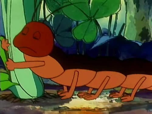 Episode 17: 100 hearts and 100 legs