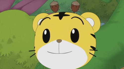 Episode 519: たいせつなじかん