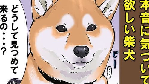 Episode 54: Autumn Leaf Burning / Kokkuri-san