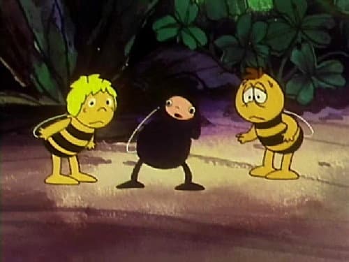 Episode 48: Fly egg uproar