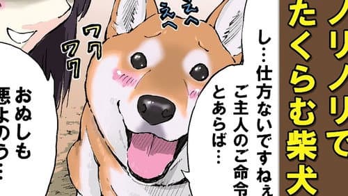 Episode 33: Surprise! / Setsubun / Fetch: Shibas