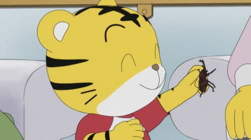 Episode 559: ちからもちになりたい
