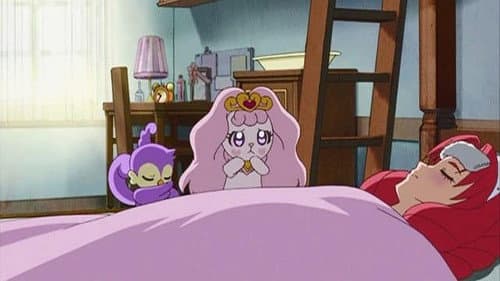 Episode 26: Rescue Lady Towa! Fight, Royal Fairies!