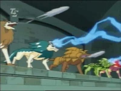 Episode 16: Legend of the Great White Most