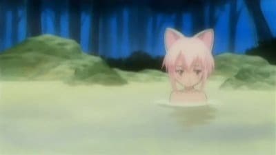 Episode 19: Day on the Mountain: Monkey in the Spa; the Cat`s Whiskers... and Who Are You?