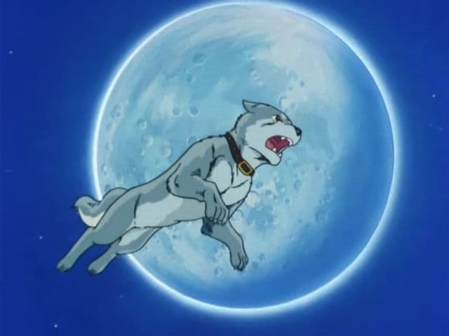 Episode 4: The Challenge of giant Bear, Akakabuto!