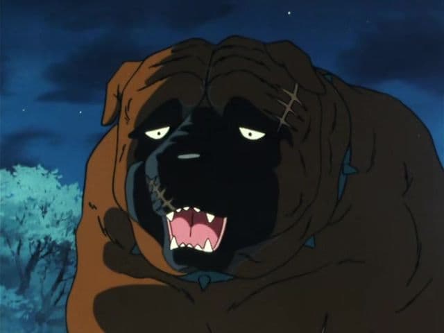 Episode 11: Ninja Dogs! Black Shadows in the Iga Village