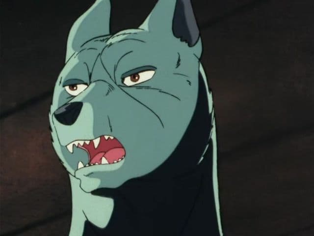 Episode 12: It`s Dangerous Ben! The Confrontation on the Ninja Grounds!