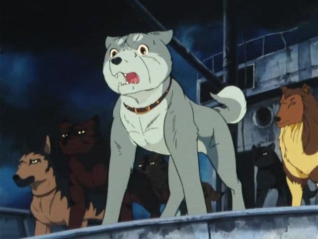 Episode 14: Advancing! The Small One Is The Young Leader!