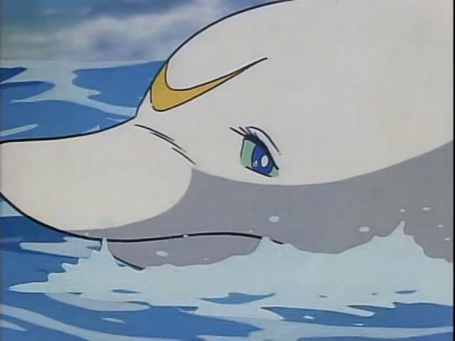 Episode 6: Go to the Southern Island!