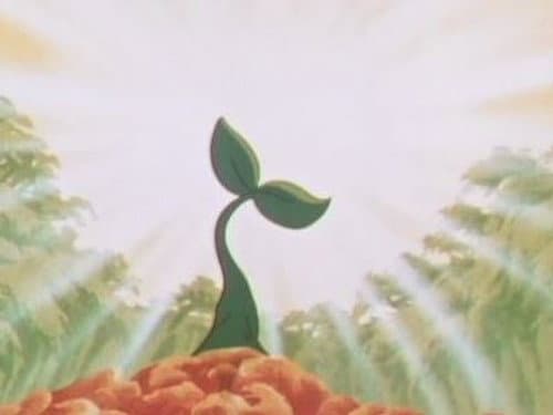 Episode 49: The Sun Tree