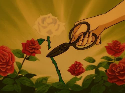 Episode 20: The Gardening Shears