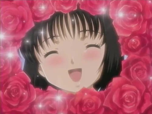 Episode 11: Will You Get Married For Me...? / Under The Stars of the Whole Sky...