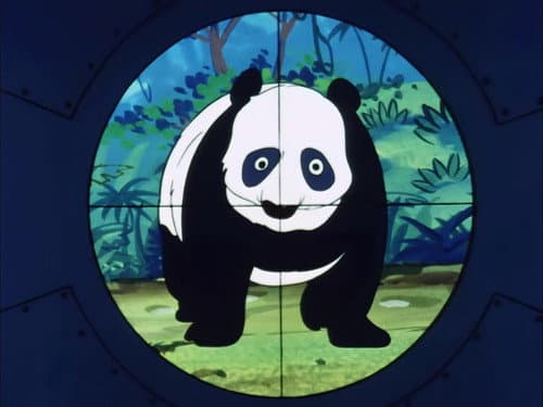 Episode 18: A Baby Panda Is Born